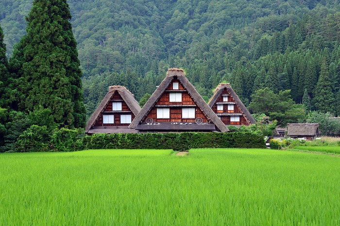 Gassho-style Houses